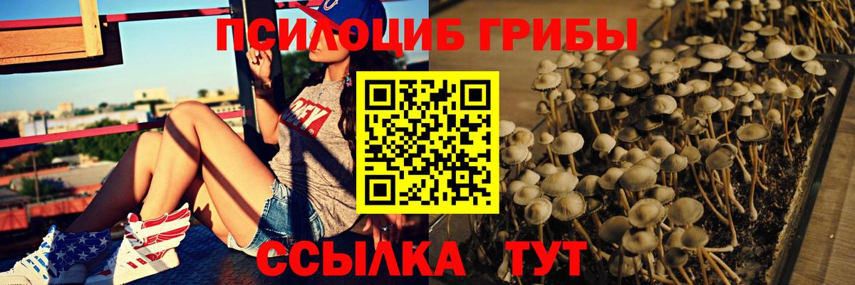Полевской  Галлюциногенные грибы Cubensis  Вход с VPN 