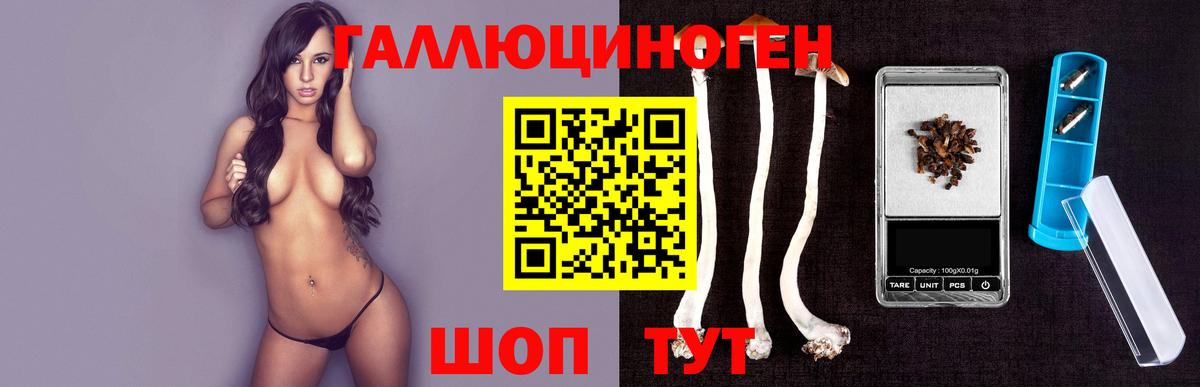 Псилоцибиновые грибы GOLDEN TEACHER Полевской